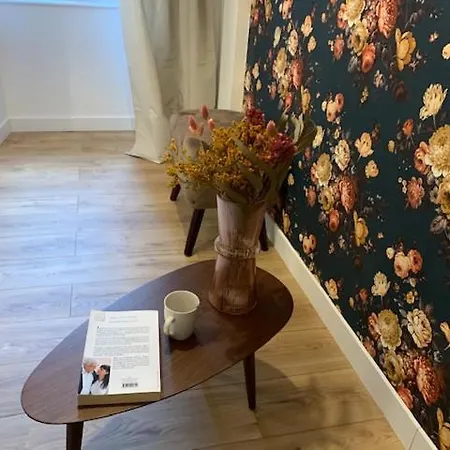 Le RoseGarden Studio au pied de la Gare de Rennes Extérieur photo