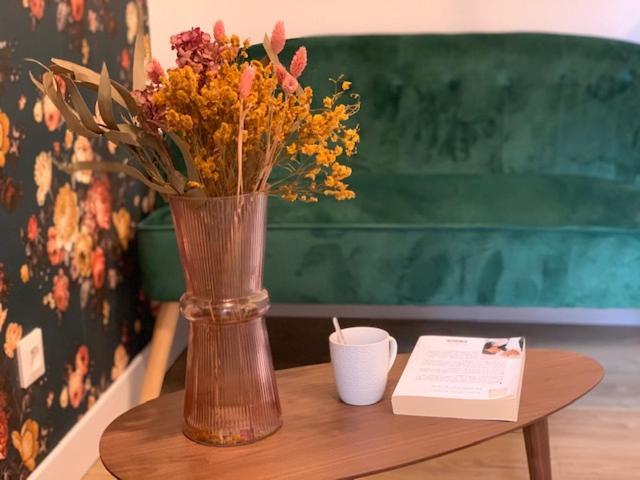Apartamento Le Rosegarden Au Pied De La Gare De *